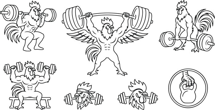 Funny Rooster Weightlifting and Fitness Icon Set Featuring Muscular Chickens, Barbells, Dumbbells, Kettlebell Training, Strength Exercises, and Gym Illustrations