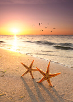 Romantic Autumn Sunset with starfishes on the Beach