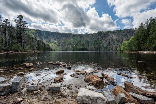 Cerne Lake with a Rocky Shore in the Sumava Mountains (Black Lake)