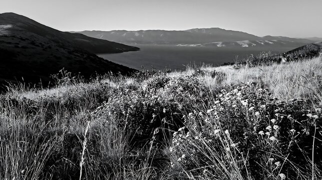 Croatian meadow above Adriatic coast with distant mountains