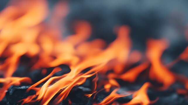 Close-up image of bright orange and yellow flames burning intensely against a dark background.