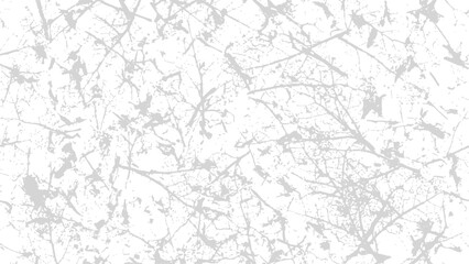 Fototapeta premium Abstract delicate twig branches forming intricate patterns against a bright white minimalist background