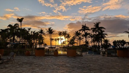 Fototapeta premium sunset at the beach