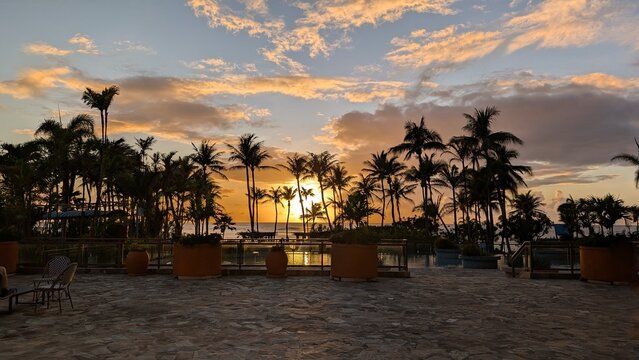 sunset at the beach