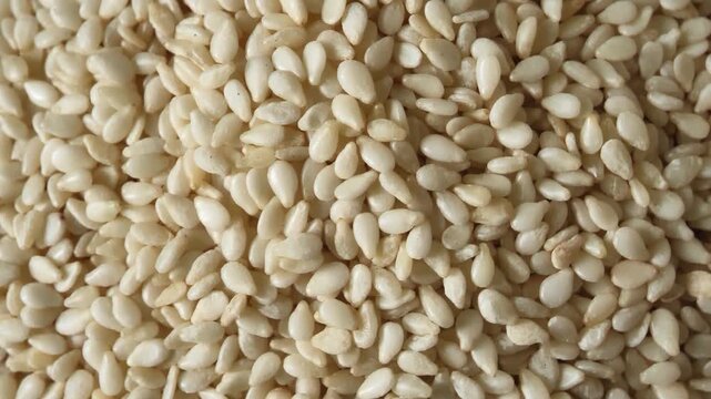 Close-up of white sesame seeds showing their natural shape, smooth texture, and creamy white color.