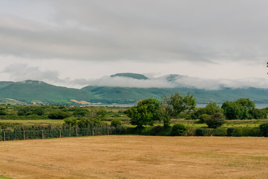 Green Irish countryside with grazing cows, rolling hills and cloud-covered mountains - 4 September 2026.