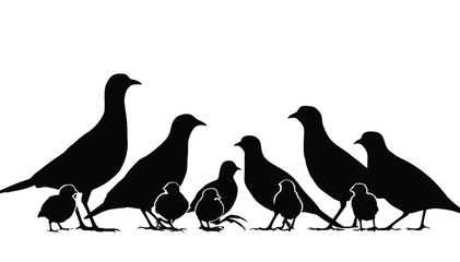 Fototapeta premium Pheasants and chicks stand together in a family group silhouette design isolated on a clean white background suitable for creative projects.