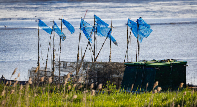 Fishing traps with blue marker flags on the shore, Goro, Italy