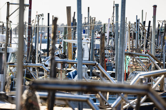 Fishing boats filling harbor in Goro, Emilia-Romagna, Italy