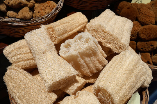 The Greek island of Symi is famous for the fishing and sale of sea sponges used in showers.
