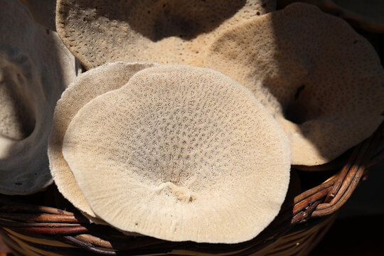 The Greek island of Symi is famous for the fishing and sale of sea sponges used in showers.