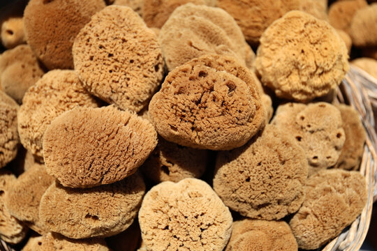 The Greek island of Symi is famous for the fishing and sale of sea sponges used in showers.