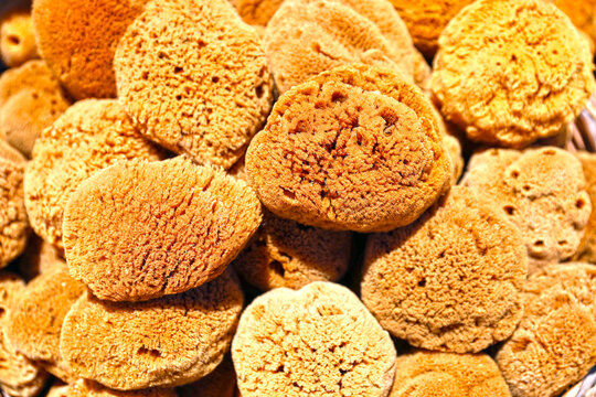 The Greek island of Symi is famous for the fishing and sale of sea sponges used in showers.