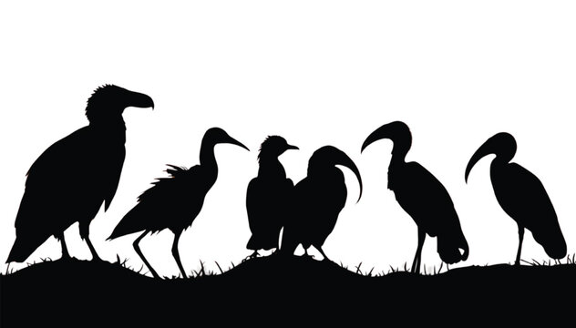 Wading bird silhouettes including ibises and herons stand together along a grassy mound in profile against an isolated plain white background.