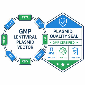 GMP Lentiviral Plasmid Vector Map and Quality Seal