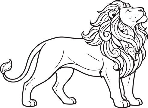 Lion line art