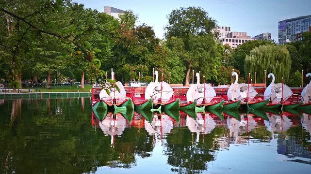 The famous Swan Boats in the Boston Public Garden in Massachusetts, USA.