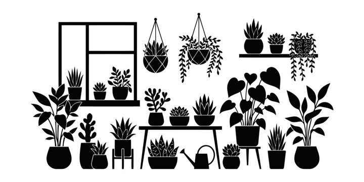 Collection of potted plants and gardening tools in a stylish home setting
