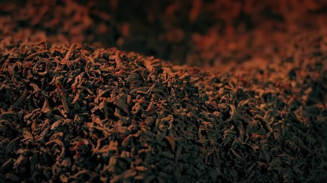 Indian Tea Dry Leaves Pile