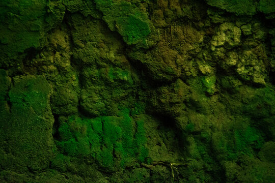 Dark Green Mossy Rock Texture Background