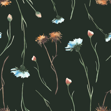 Watercolor Autumn wildflower seamless pattern. Hand painted watercolor fall wild flowers and grasses, meadow herbs realistic floral botanical illustration on isolated dark background for fabric design