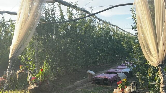 Outdoor Orchard Dining: An intimate outdoor dining setup nestled within a lush apple orchard, featuring elegantly draped canopies, candle-lit tables, and rows of fruit-laden trees.