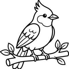 Fototapeta premium Cute Sooty-headed Bulbul bird outline illustration