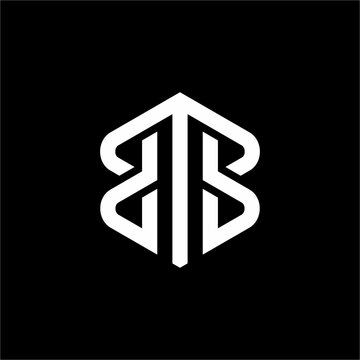 Futuristic double letter B monogram enclosed in a sleek hexagon frame. Ideal for trading platforms, financial enterprises, global logistics, or modern corporate business ventures.