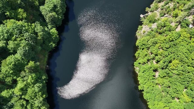 Drone Shot at Vyhl&iacute;dka M&aacute;j in Central Bohemia, Czechia. Vltava River with Sparkling Sunlight Glinting on Water and Lush Green Summer Forest.