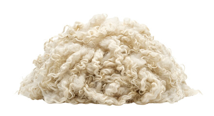 Fluffy pile of raw crimped curly sheep wool locks © Pimpun