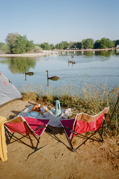 Lakeside picnic setup with red chairs and swimming black swans.