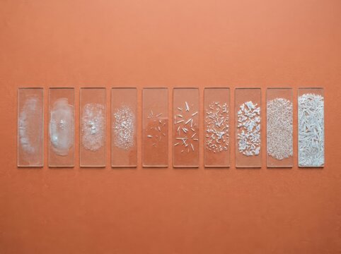 Microscope slides with white granules on a terracotta background