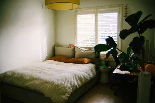 Bright bedroom with soft bedding and natural light