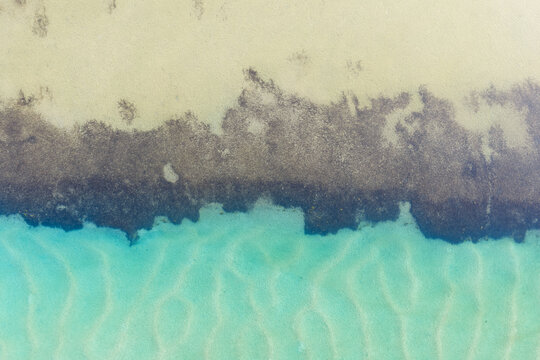 A partly submerged rock reef in a tidal coastal river
