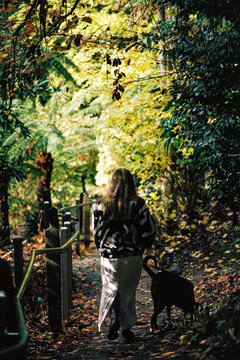 Woman Walking a Dog in Colorful Autumn Path in Australia