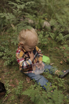 Little boy finding berries in forest