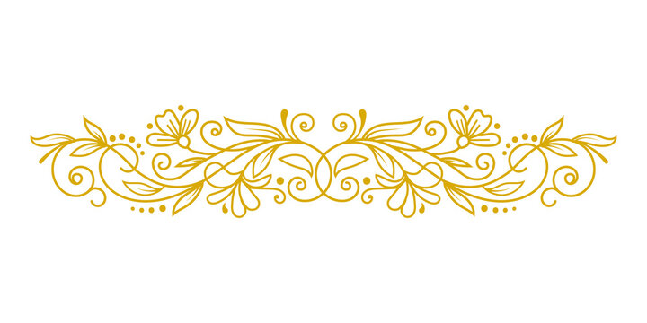 Elegant golden floral flourish divider isolated on transparent background