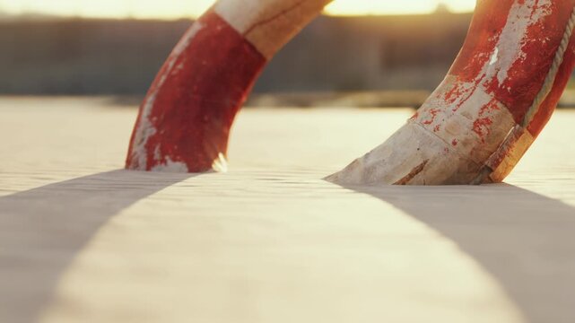 A life buoy sits on the sand at the beach. The sun is setting in the background, casting long shadows. The scene shows a quiet moment near the water.