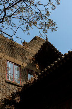 Interplay of Light and Shadow on Vintage Brick and Traditional Tiles.