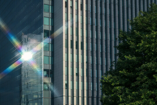 Sun Reflection on Glass Office Buildings in Modern Business Dist