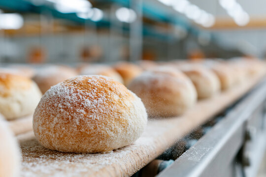 Fresh buns dusted with flour glide along a conveyor belt. Golden crusts gleam under warm industrial lighting. Bakery production flows smoothly in a modern facility