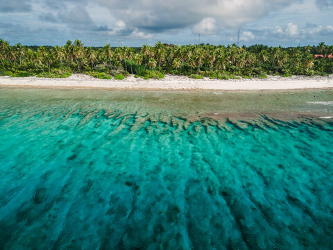 Maldive coastline with beach, palms trees and clear turquoise ocean.