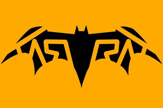 Stylized black bat logo emblem with geometric wings on orange background for gaming or sports team branding