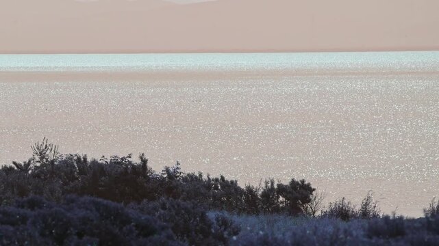 Scenic view featuring gentle waves reflecting sunlight over a vast body of water, bordered by dense green foliage and shrubbery. Subtle colors blend soft pinkish skies with the serene blue water