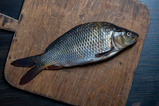 Fresh raw carp fish on old wooden cutting board, closeup. Whole uncooked fresh river fish with silver scales on rustic weathered cutting board top view flat lay seafood cooking ingredient background