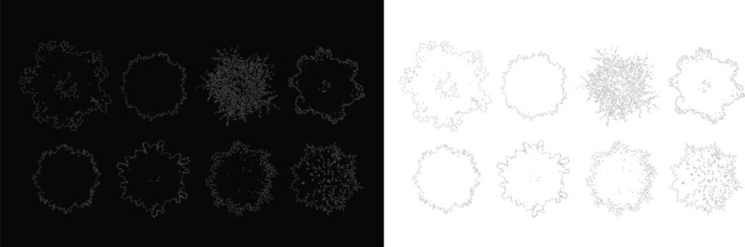 Architectural landscape tree crown plan view white line sketch vectors on black background for park layout masterplans and urban green space design.