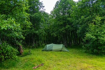 A beautiful green summer landscape with a tent near a river. A summer scenery of World Heritage Area in Western Norway. © dachux21