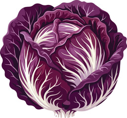 Obraz premium Vibrant red cabbage healthy vegetable ingredient culinary organic food