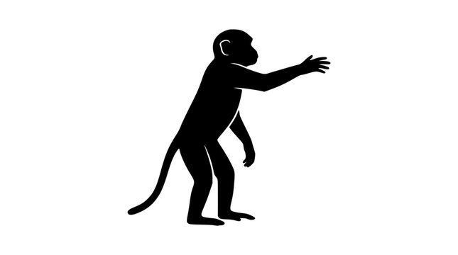 Silhouette monkey standing and reaching out with arm