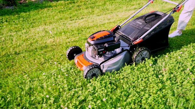 Person mows lush green lawn with gas-powered mower. Sunlight highlights vibrant grass and mower's mechanical movement. Focused individual shows dedication to garden upkeep. Perfect for gardening